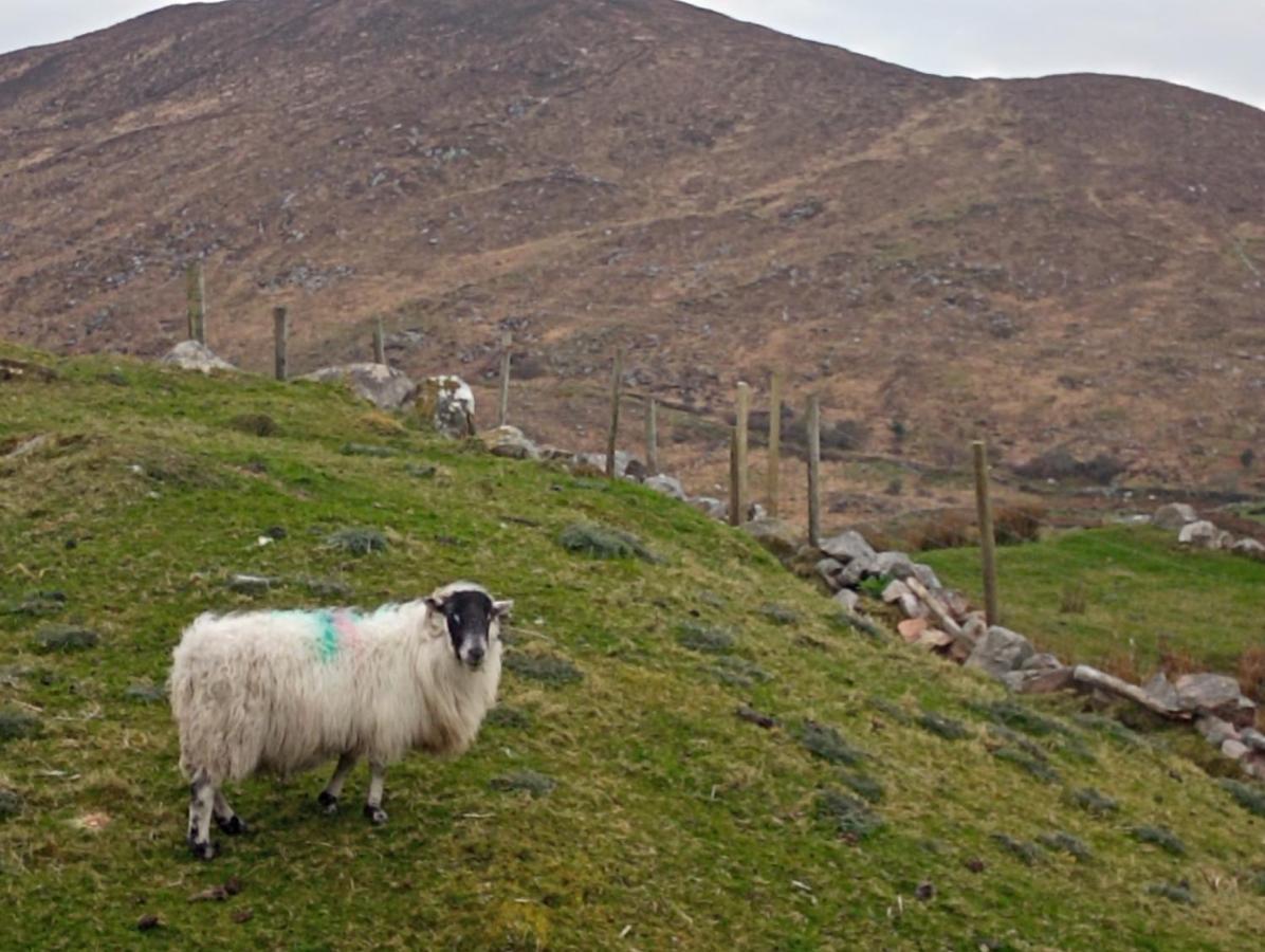 Donegal Cottage Donegal Town Luaran gambar