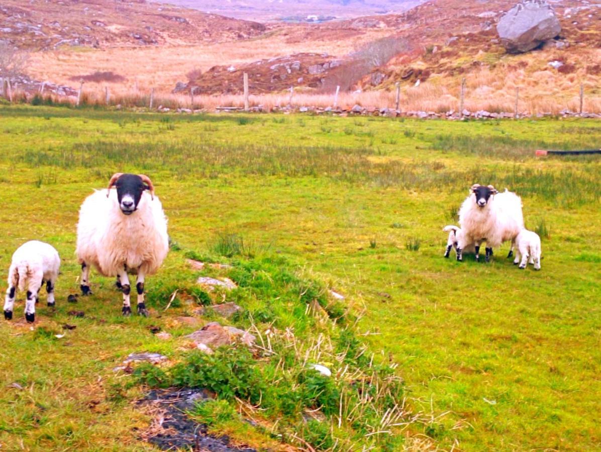 Donegal Cottage Donegal Town Luaran gambar