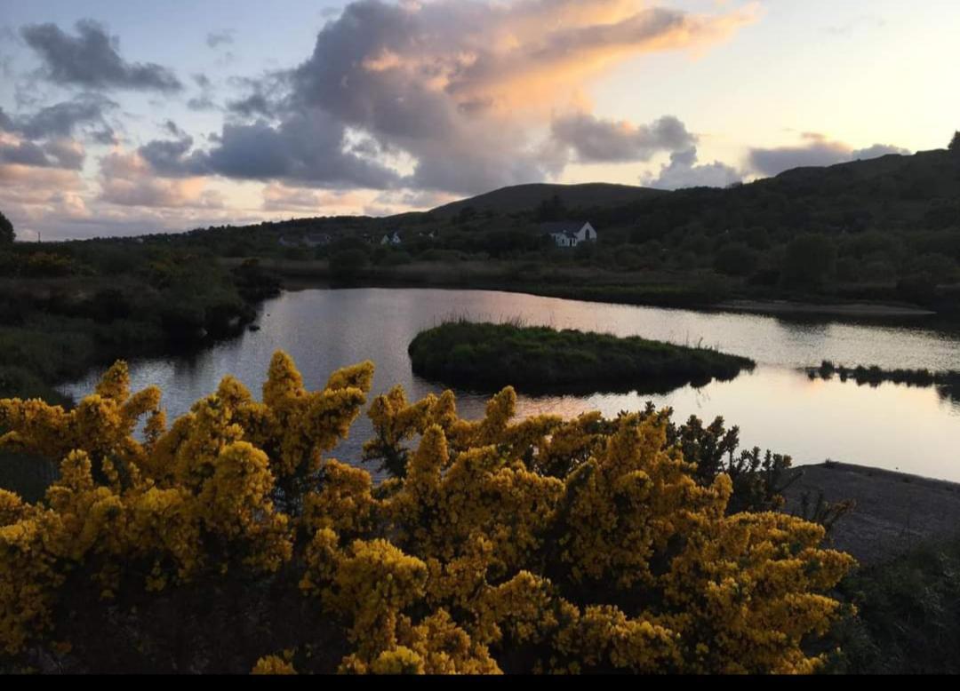 Donegal Cottage Donegal Town Luaran gambar